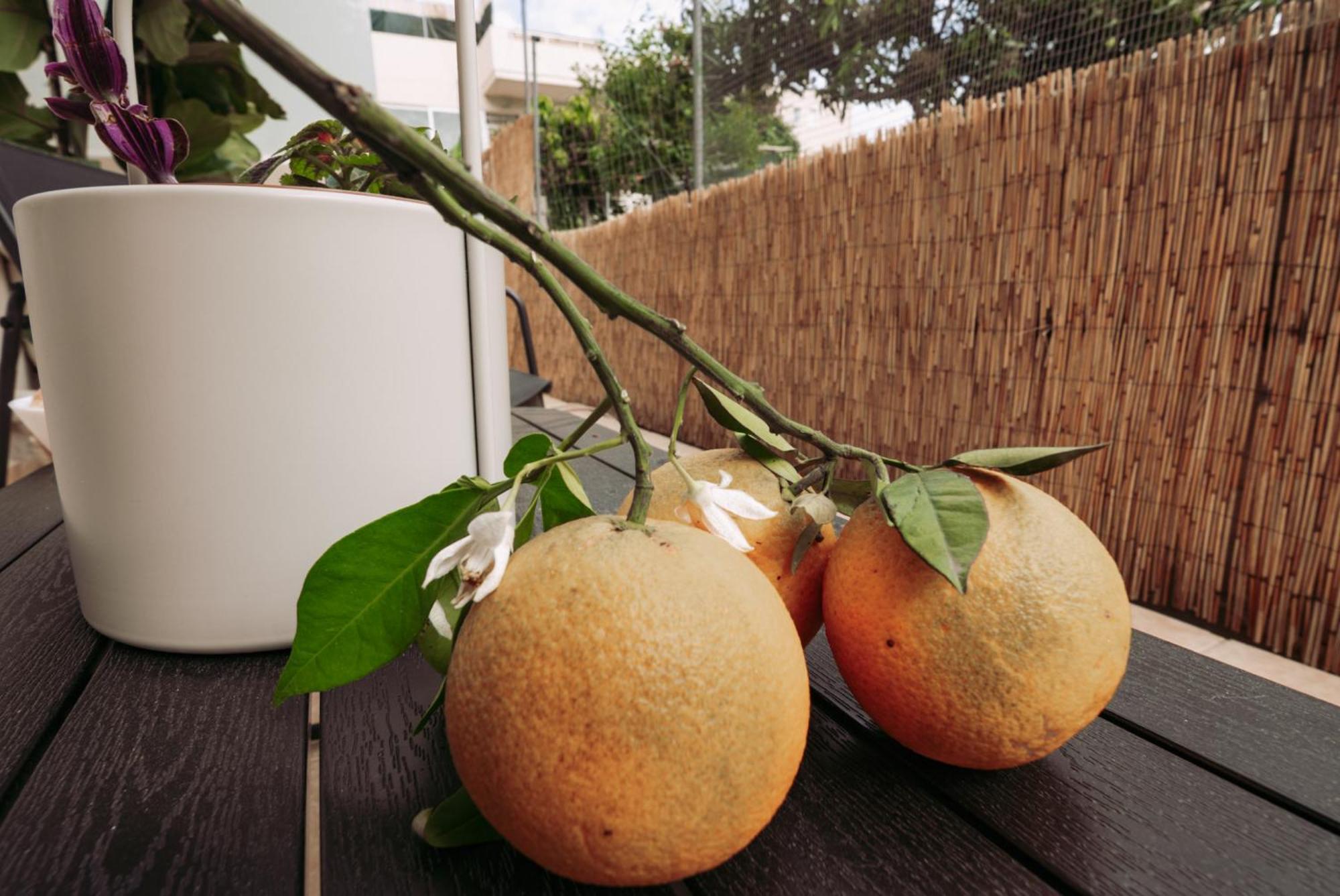 Summer Blue Apartments Chania Ханя Екстериор снимка
