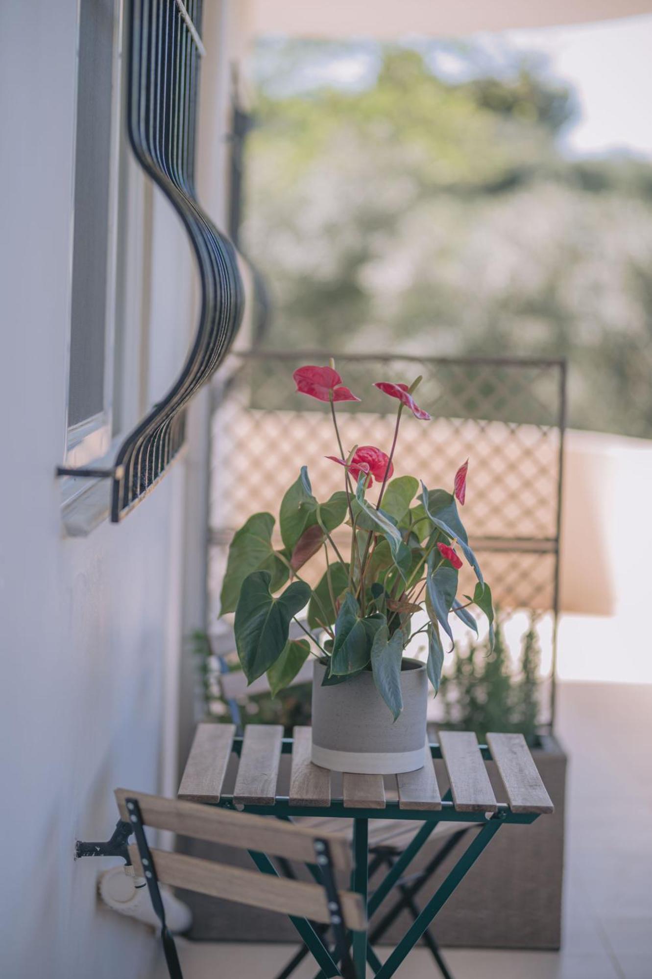 Summer Blue Apartments Chania Ханя Екстериор снимка